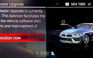 Disable remote software upgrade for BMW-5