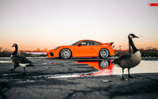 991.2 Porsche GT3 X-Series Monoblock S1-X3 -6