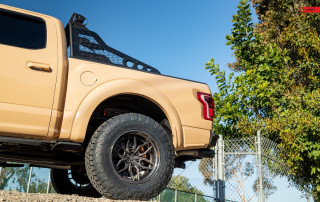 Ford F150 Raptor ANRKY AN36 SeriesTHREE-6