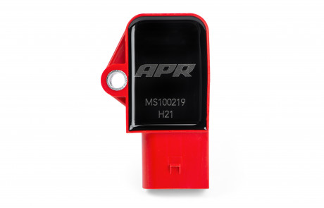 MS100219_002